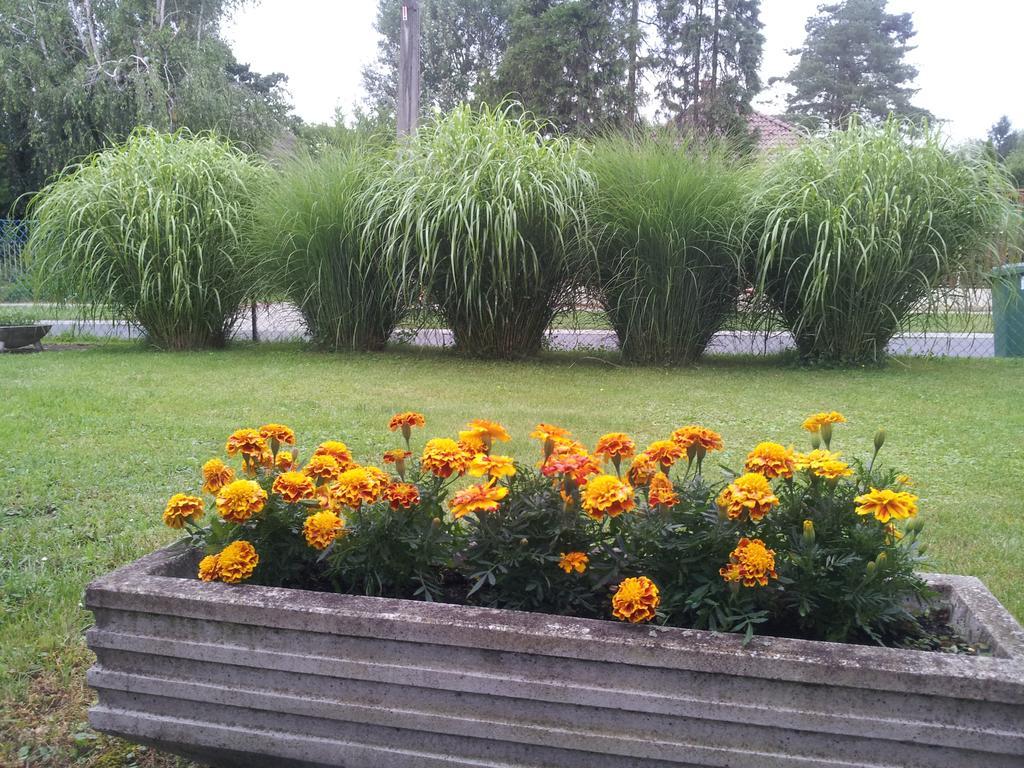 Hajas Familia Kiado Szobak Balatonmáriafürdő المظهر الخارجي الصورة