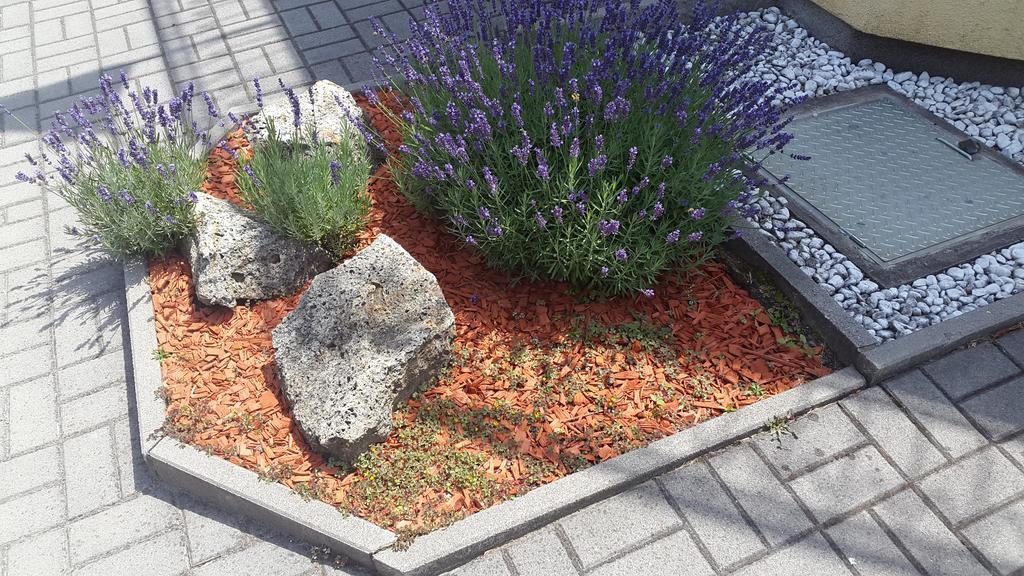 Hajas Familia Kiado Szobak Balatonmáriafürdő المظهر الخارجي الصورة